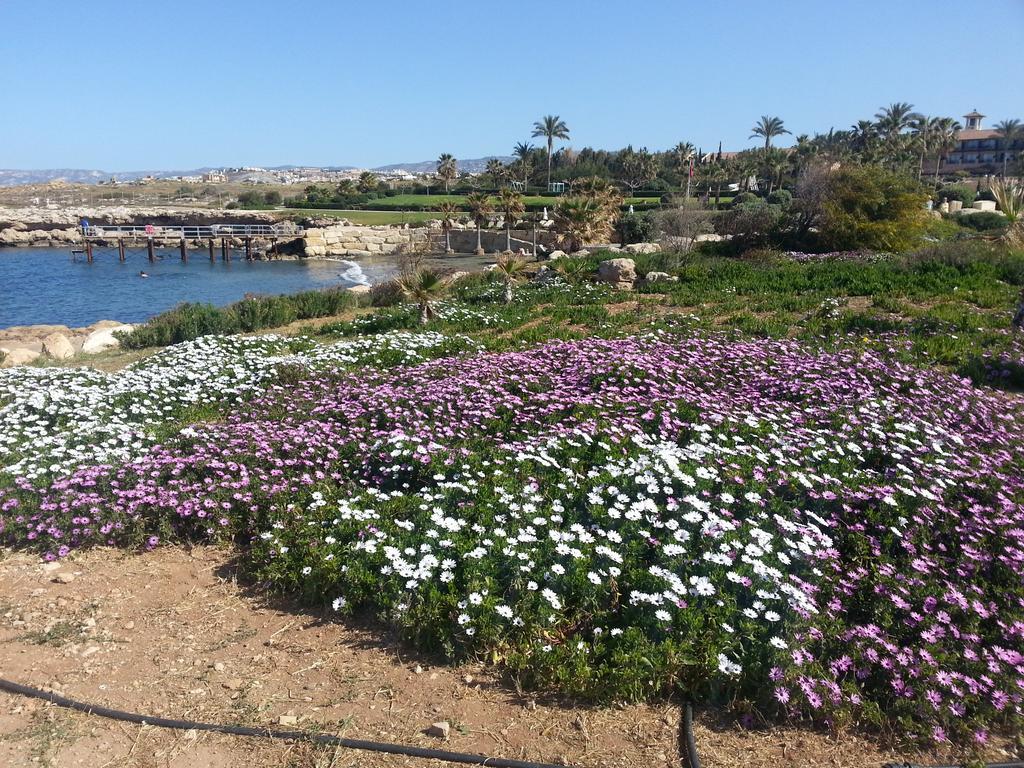 Faros Beach Paphos Bagian luar foto